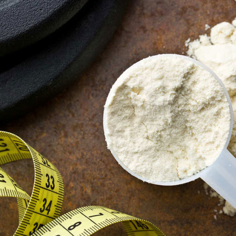 Whey Protein Concentrate